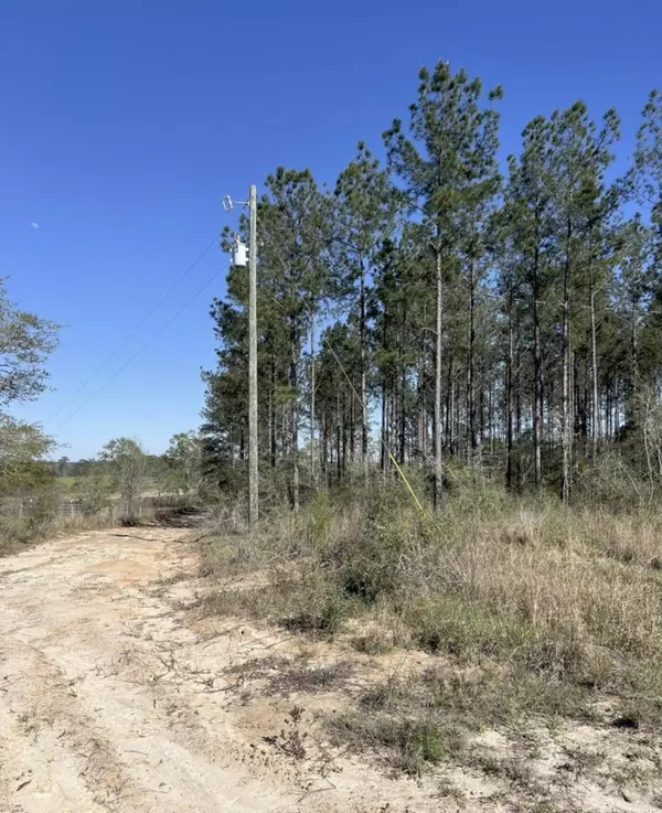 Ponce De Leon, FL 32455,55 Ac +- N Hwy 81