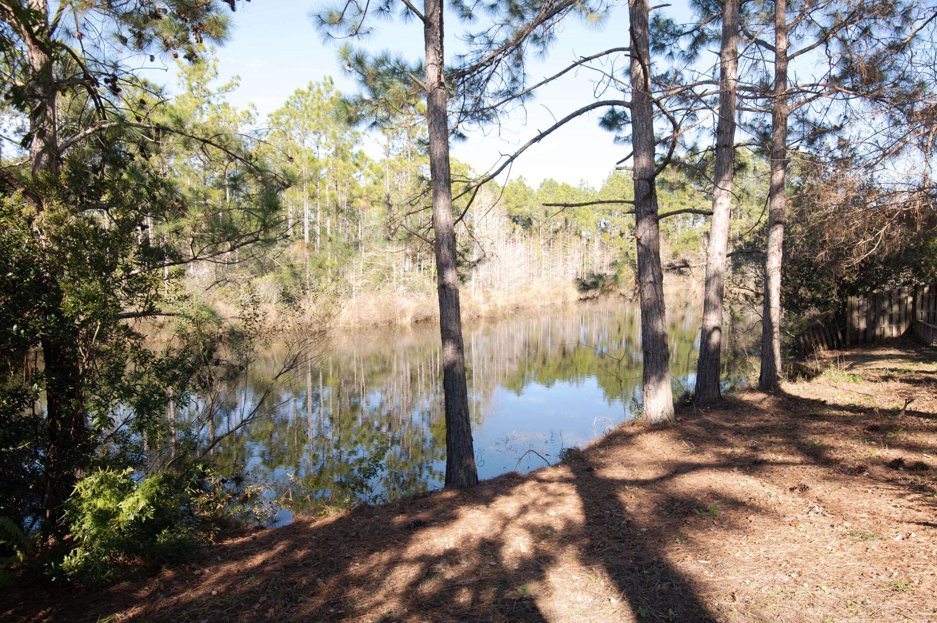 Santa Rosa Beach, FL 32459,407 Calle Escada