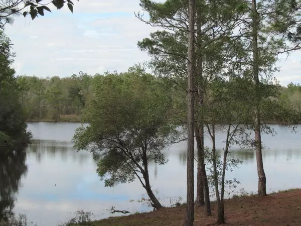 Defuniak Springs, FL 32433,LOT1 Magnolia Lake Drive