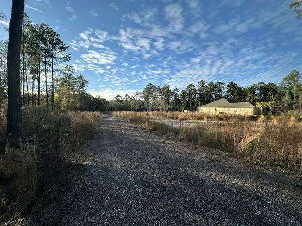 Freeport, FL 32439,TBD J W Hollington Road