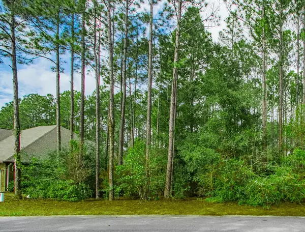 Lot 50 Concert Court, Freeport, FL 32439