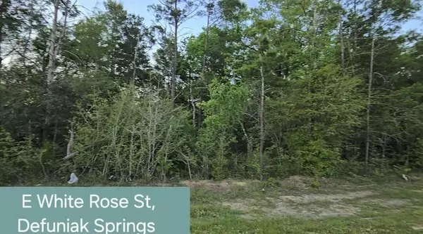 Defuniak Springs, FL 32433,Lot 15 E White Rose Street