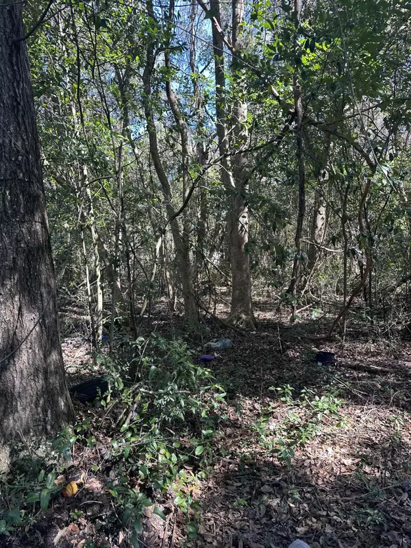 Bagdad, FL 32530,0000 Limit Street