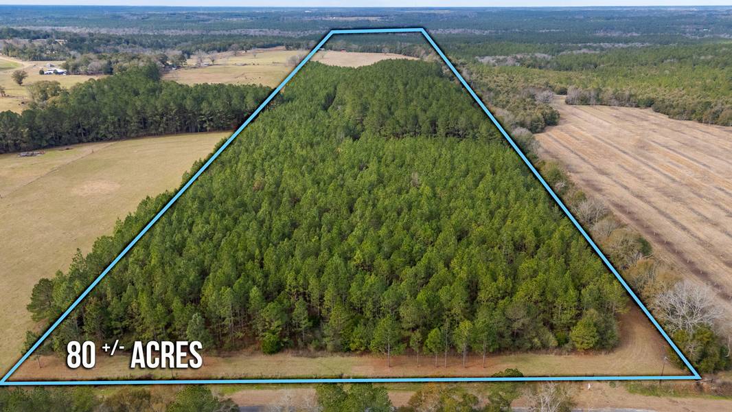 81 Acres Union Road, Florala, AL 36442