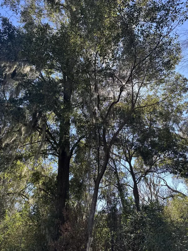 Bagdad, FL 32530,TBD School St.