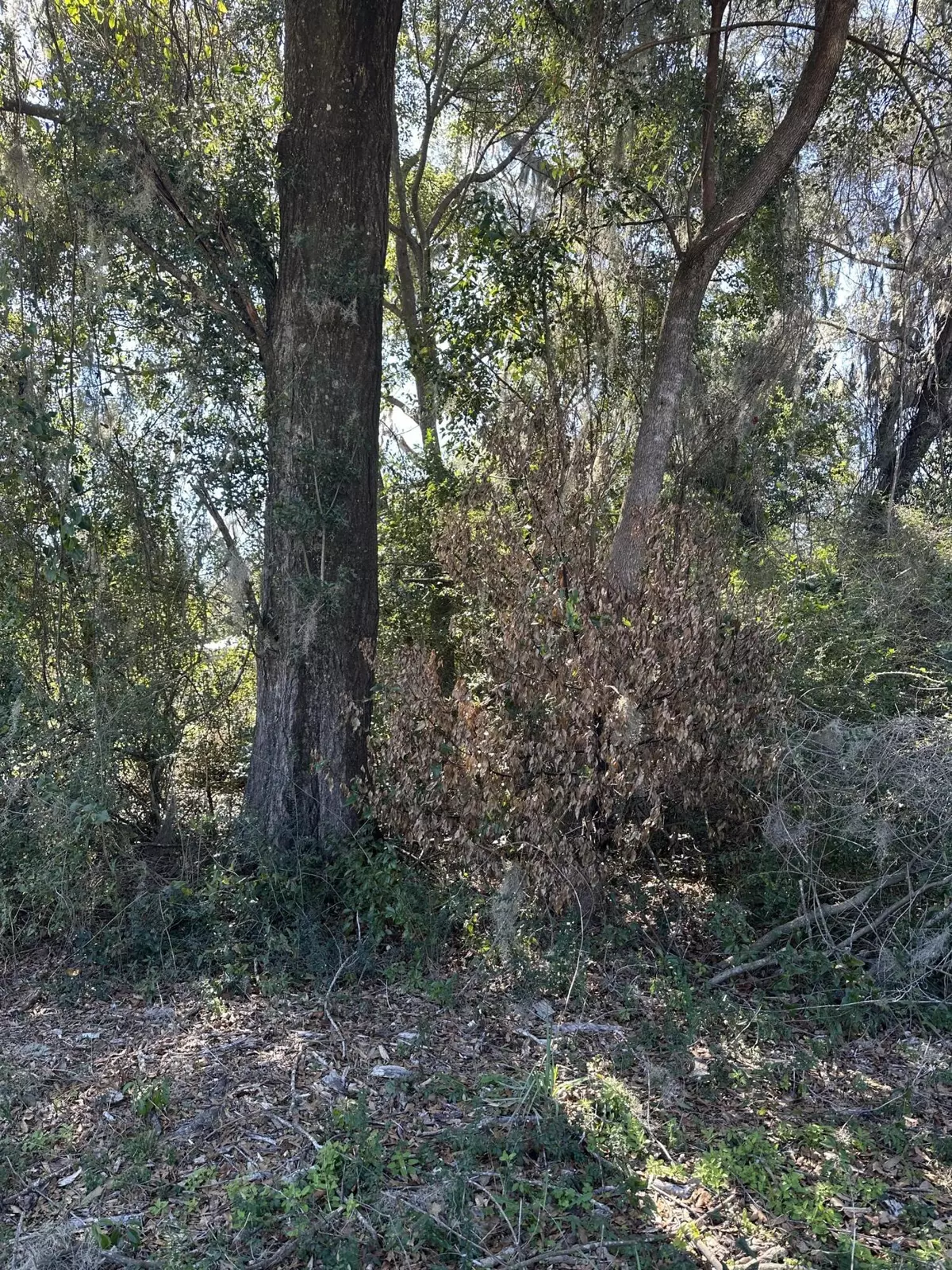 Bagdad, FL 32530,TBD School St.