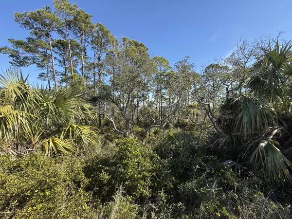 Cape San Blas, FL 32456,Lot 6 Cape San Blas Rd