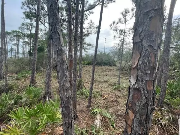 Cape San Blas, FL 32456,Lot 6 Cape San Blas Rd