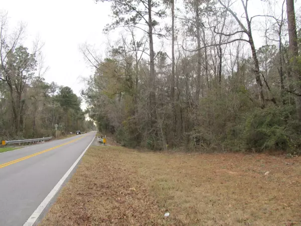 Ponce De Leon, FL 32455,10 acres Co Highway 183