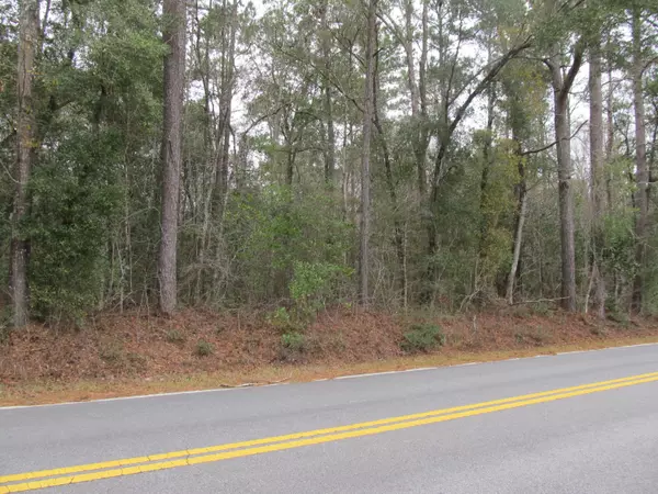 10 acres Co Highway 183, Ponce De Leon, FL 32455