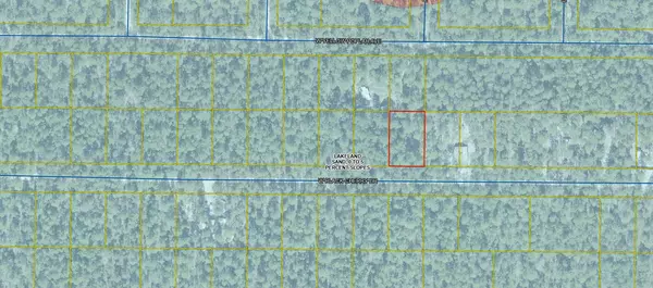 Defuniak Springs, FL 32433,Lot 43 W Black Cherry Drive