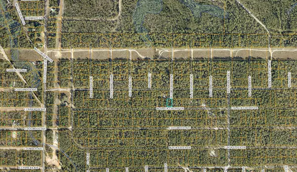 Defuniak Springs, FL 32433,Lot 43 W Black Cherry Drive