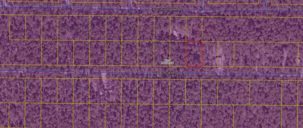 Defuniak Springs, FL 32433,Lot 43 W Black Cherry Drive