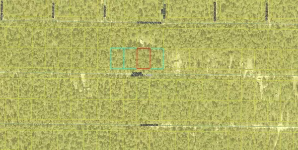 Defuniak Springs, FL 32433,Lot 44 W Black Cherry Drive