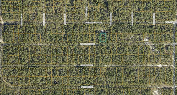 Defuniak Springs, FL 32433,Lot 44 W Black Cherry Drive