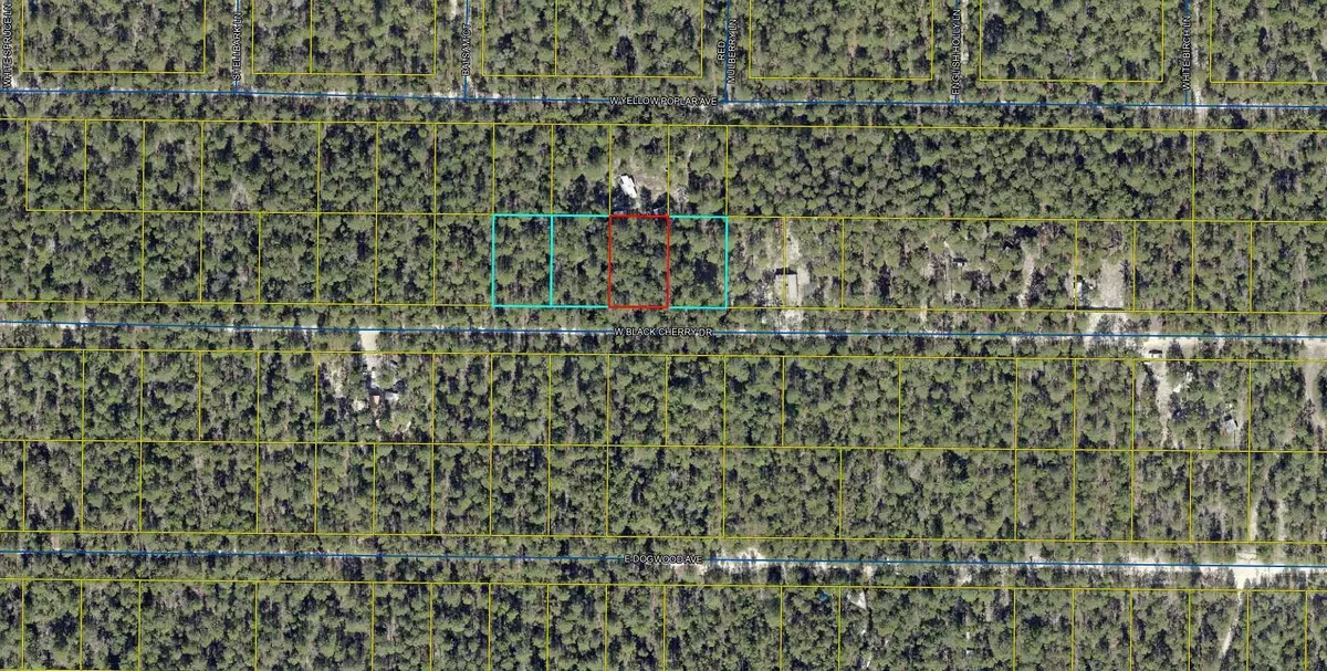 Defuniak Springs, FL 32433,Lot 44 W Black Cherry Drive