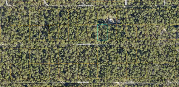 Defuniak Springs, FL 32433,Lot 45 W Black Cherry Drive