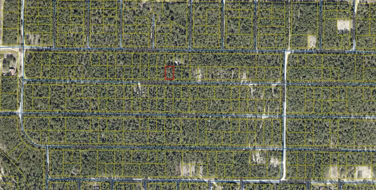 Defuniak Springs, FL 32433,Lot 45 W Black Cherry Drive