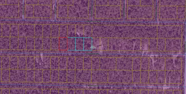 Defuniak Springs, FL 32433,Lot 46 W Black Cherry Drive