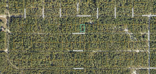 Defuniak Springs, FL 32433,Lot 46 W Black Cherry Drive