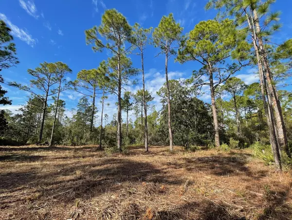 Santa Rosa Beach, FL 32459,Lot 4 Mario Road