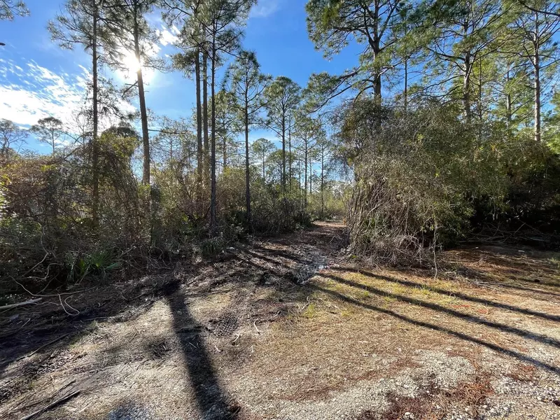 Lot 4 Mario Road, Santa Rosa Beach, FL 32459