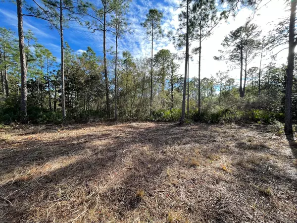 Santa Rosa Beach, FL 32459,Lot 4 Mario Road