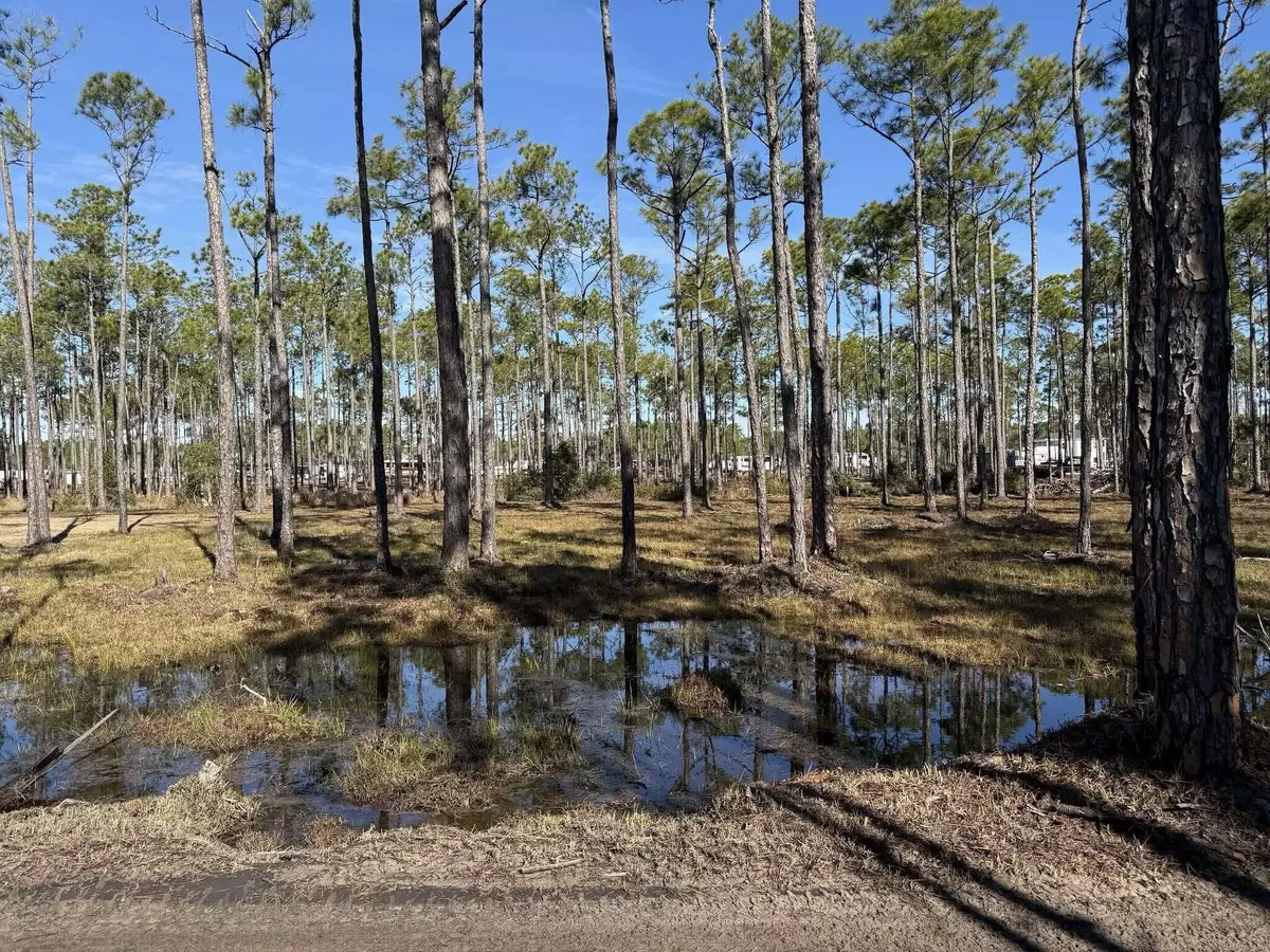 Santa Rosa Beach, FL 32459,4 Foxmire Farm Road