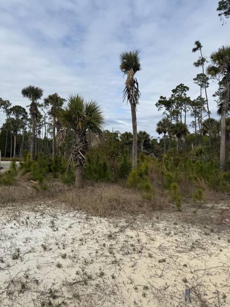 7951 CR 30A, Cape San Blas, FL 32456