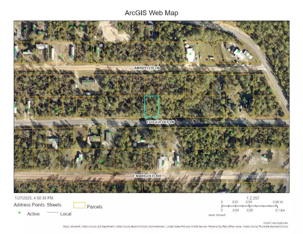 Defuniak Springs, FL 32433,Lot 32 E Tiger Lily Lane