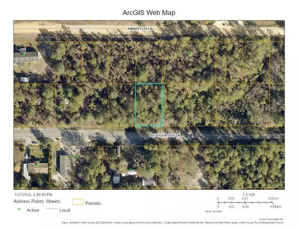 Defuniak Springs, FL 32433,Lot 32 E Tiger Lily Lane