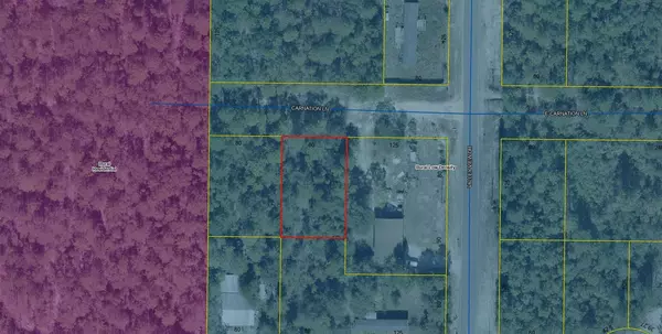 Defuniak Springs, FL 32433,Lot 5 Carnation Lane