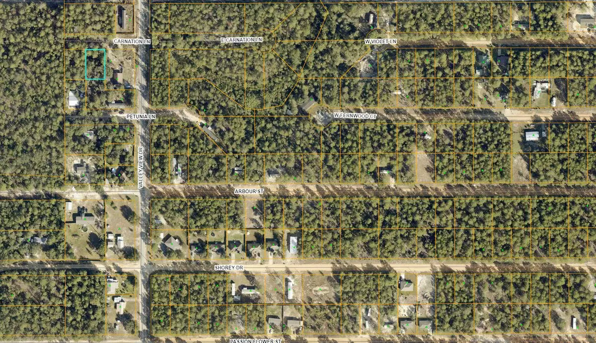 Defuniak Springs, FL 32433,Lot 5 Carnation Lane