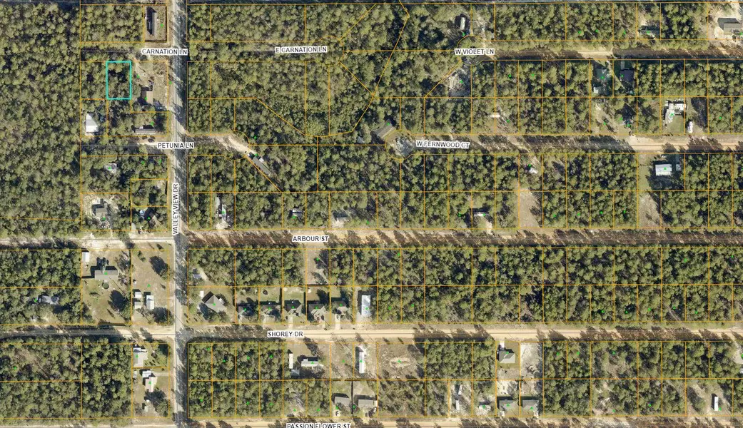 Lot 5 Carnation Lane, Defuniak Springs, FL 32433