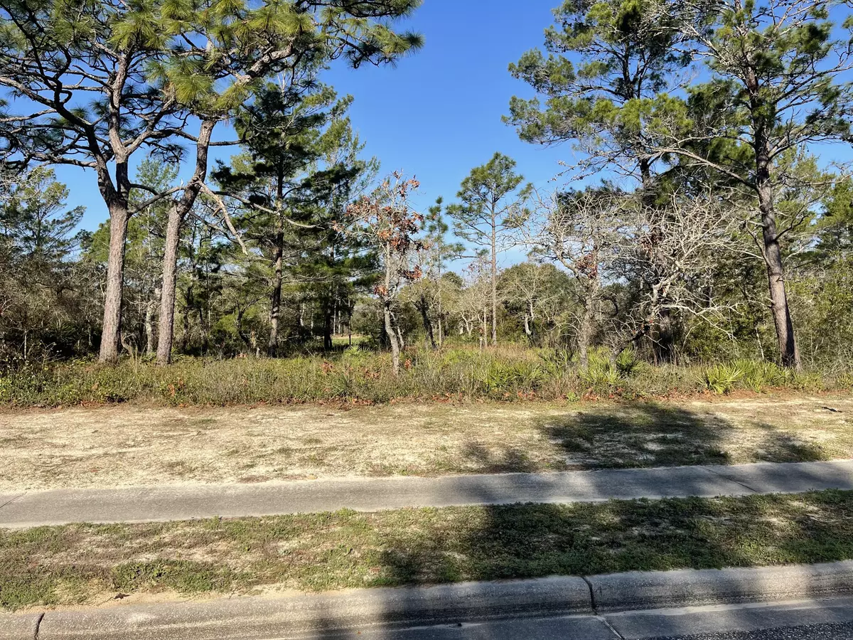 Carrabelle, FL 32322,131 Laughing Gull Lane