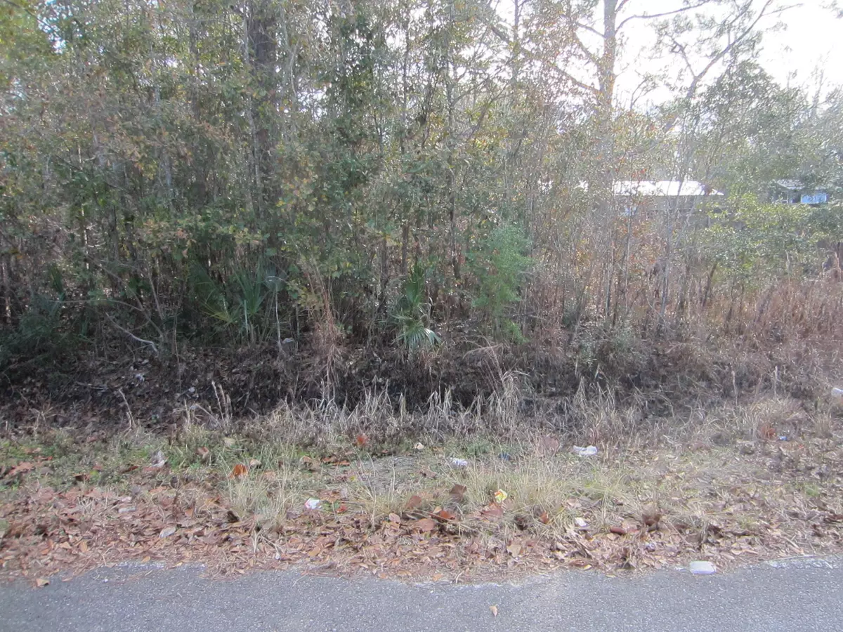 Freeport, FL 32439,Lot 4 Park Road