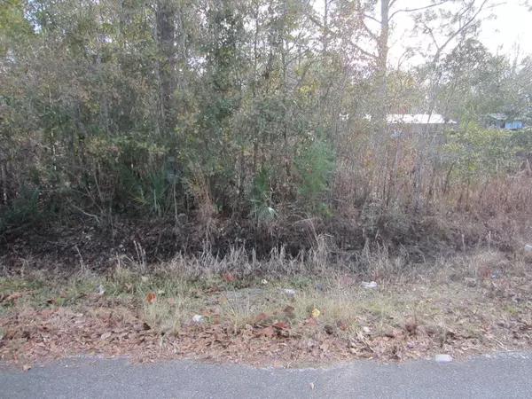 Lot 4 Park Road, Freeport, FL 32439