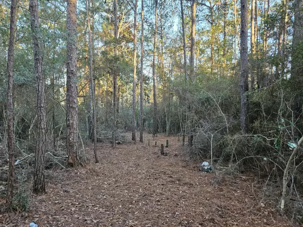 Defuniak Springs, FL 32435,Lot 16 Quail Ridge Road