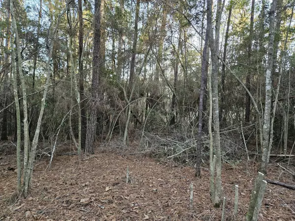 Defuniak Springs, FL 32435,Lot 16 Quail Ridge Road