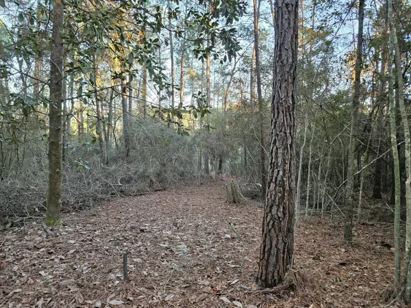 Defuniak Springs, FL 32435,Lot 16 Quail Ridge Road