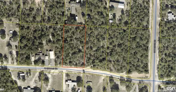 XXX W Brahms Drive, Defuniak Springs, FL 32433