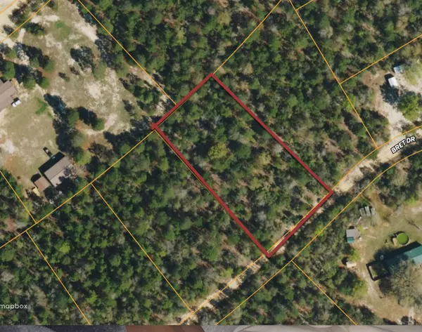 Defuniak Springs, FL 32433,lot 20 Bret Drive