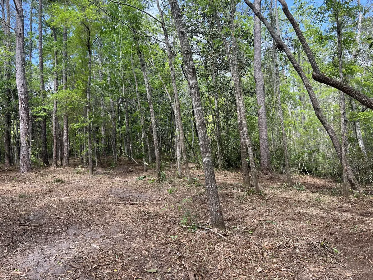 Freeport, FL 32439,lot 18 Cross Creek Circle