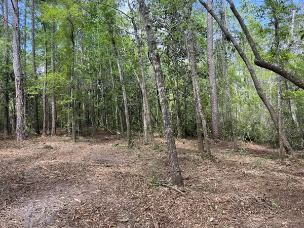 lot 18 Cross Creek Circle, Freeport, FL 32439