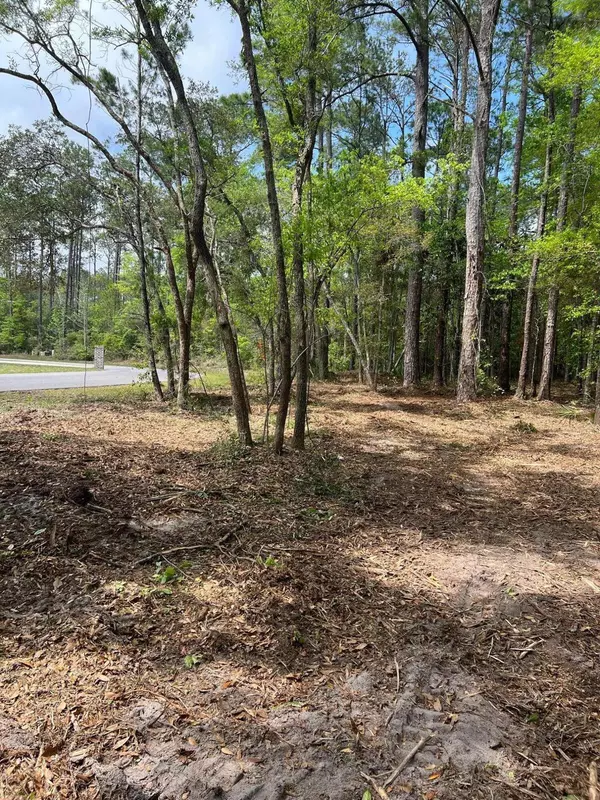 Freeport, FL 32439,lot 18 Cross Creek Circle