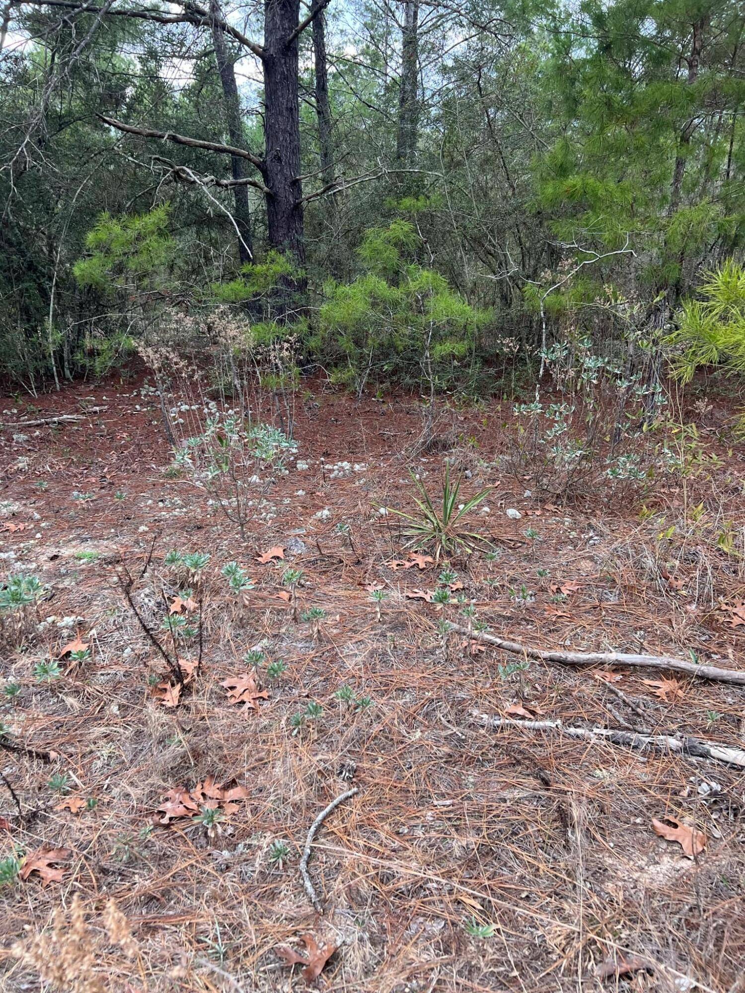 Defuniak Springs, FL 32433,lot 17 Coventry Road