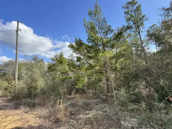 Crestview, FL 32539,4608 Bobolink Way