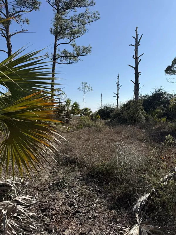 TBD CR 30A, Cape San Blas, FL 32456