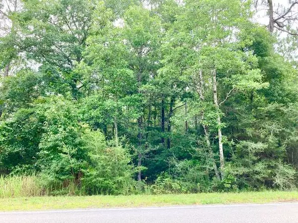 Defuniak Springs, FL 32435,18ac Campbell Road