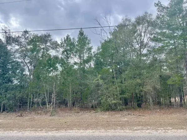 Lot 40 Beethoven Circle, Defuniak Springs, FL 32433